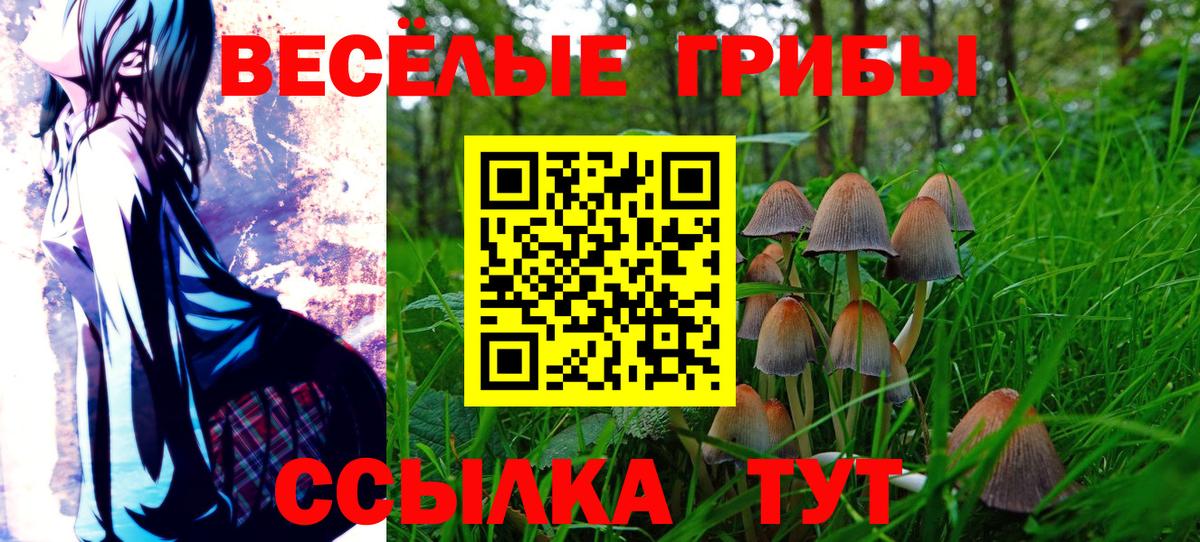 Псилоцибиновые грибы ЛСД  Вход с VPN  Владивосток  Галлюциногенные грибы Magic Shrooms 